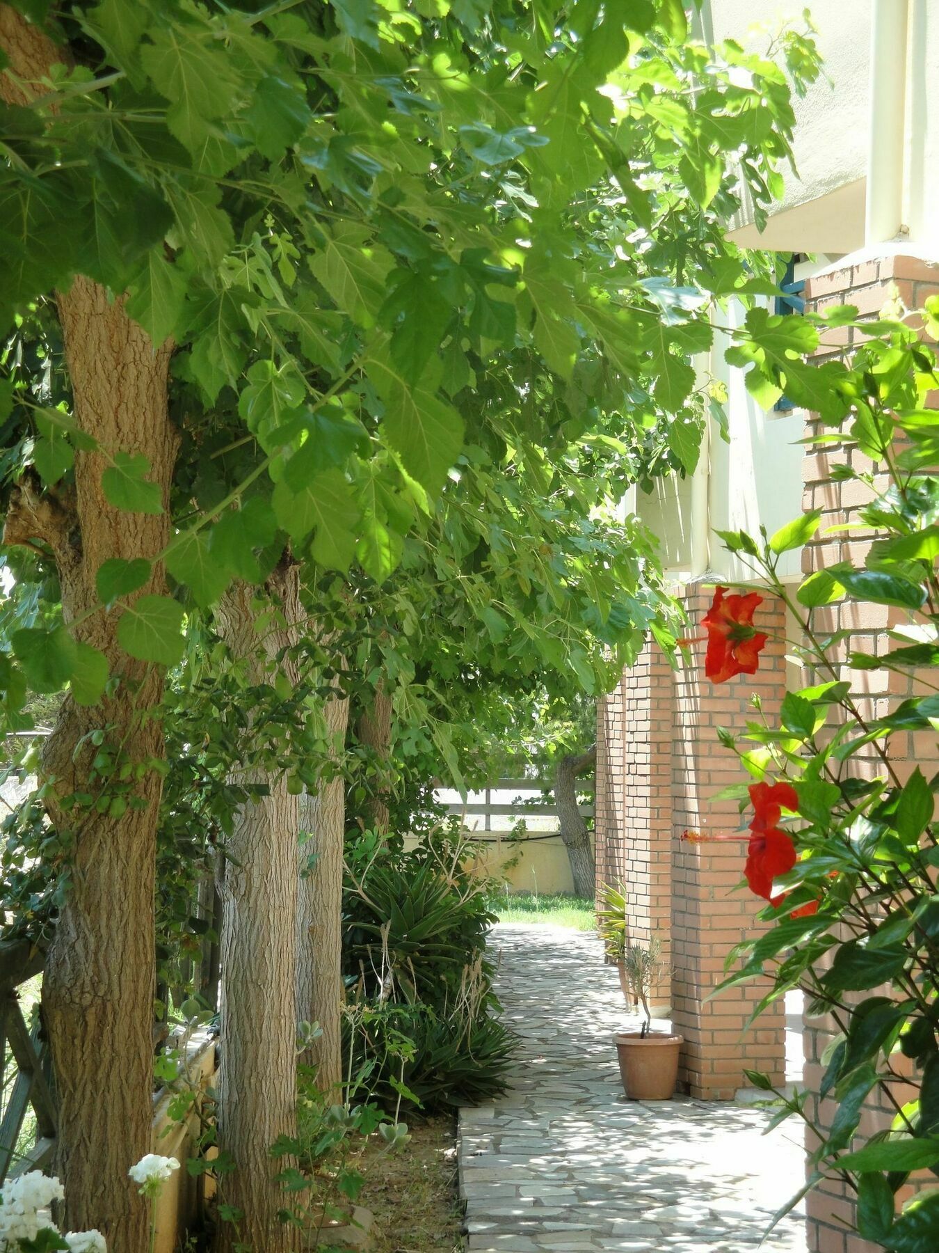Nancy - Chara Apartments Картерос Экстерьер фото